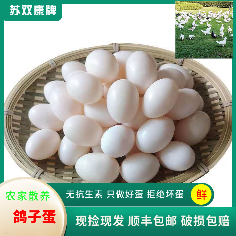 Su Shuangkang ® Pigeon Eggs Drop Shipping Farm Free Range White Pigeon Eggs Miscellaneous Grains First Birth Grass Pigeon Eggs Wholesale Fresh