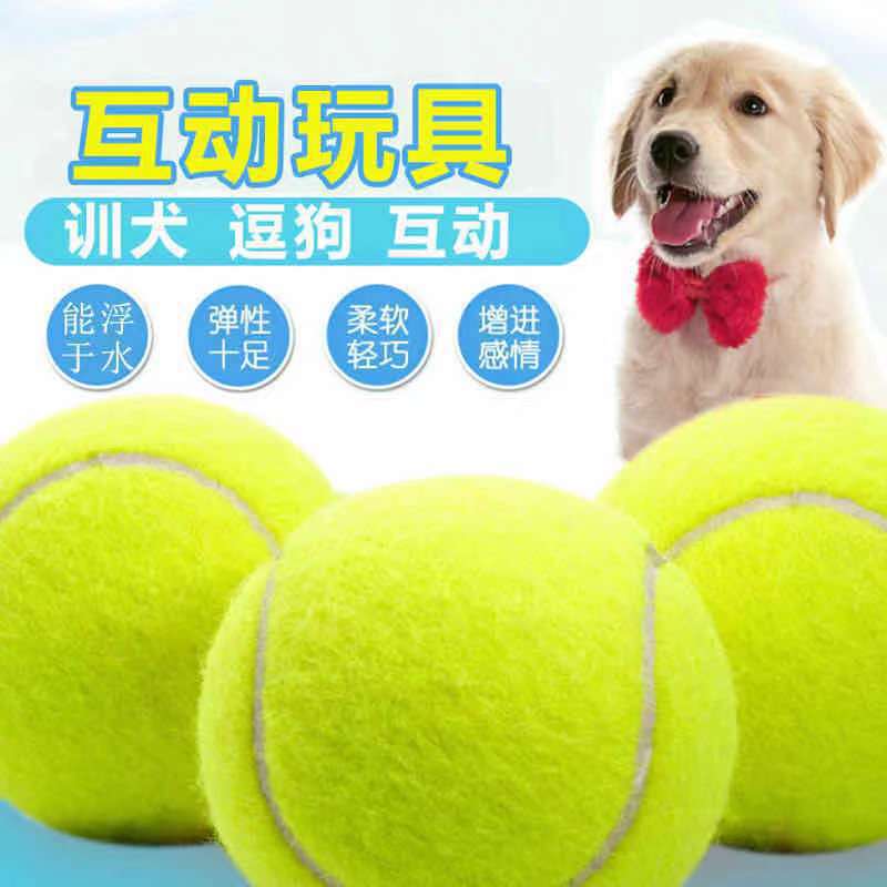 Explosive pet toy tennis yellow bold white tennis rubber training ball pet