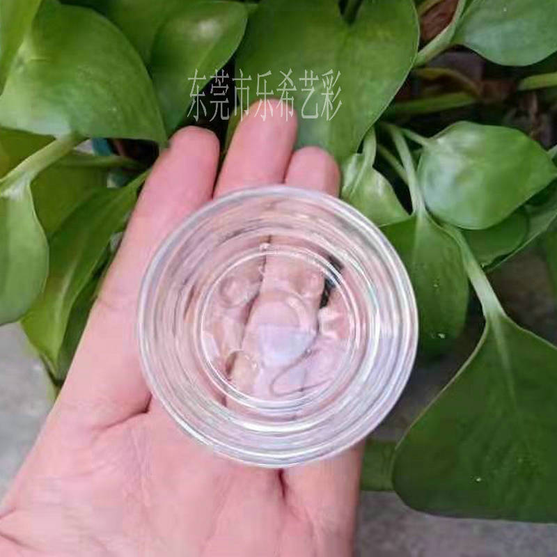 Reptile Transparent Glass Food Basin Water Basin Drinking Bowl Shrimp-eating Lizard Snake Spider Shougong Turtle Scorpion Centipede Cricket