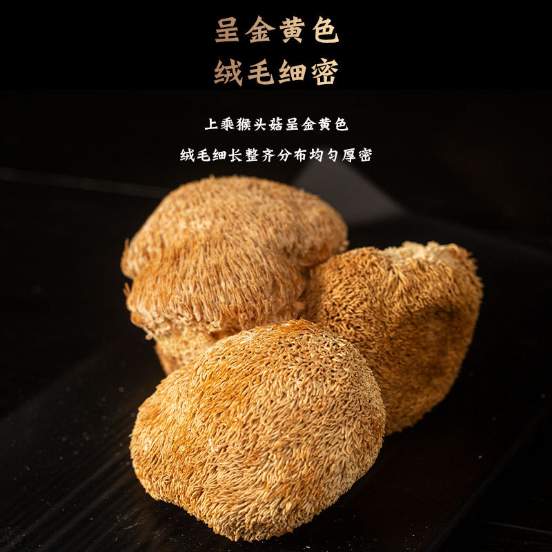 Yunnan specialty dry goods Hericium erinaceus origin wholesale small and large edible mushroom 0.50kg a bag of large favorably delicious