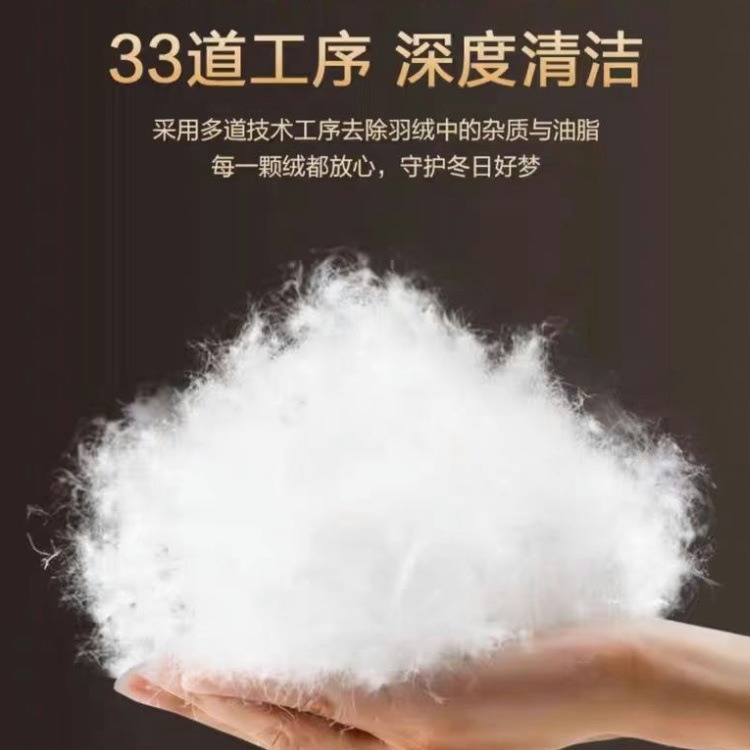 95 Duvet genuine goods Cotton White Goose Down Quilt Five-star Hotel Quilt Core Winter Thickened Cotton Down Quilt Core