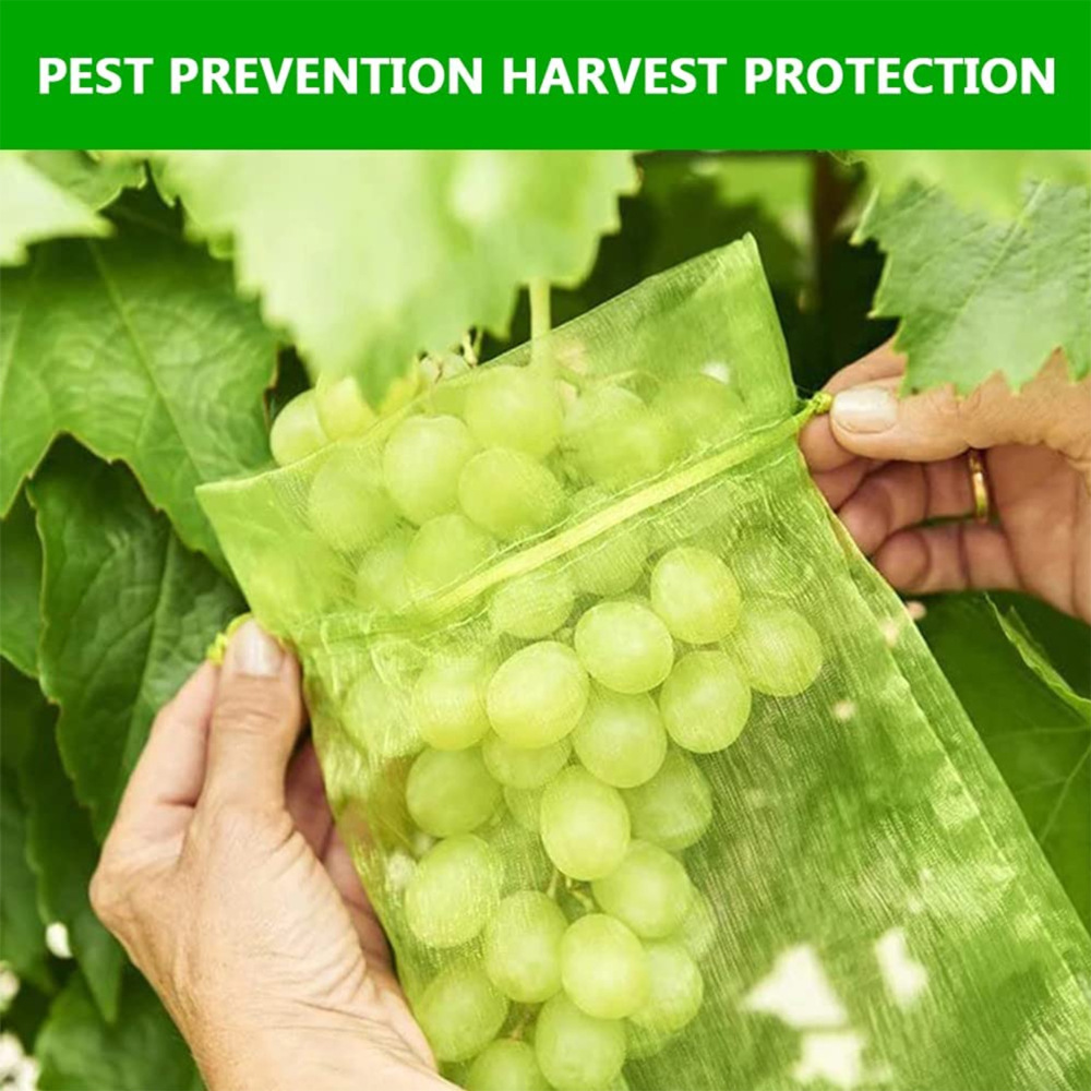 Fruit Insect Net, Fruit Drawstring Bagging, Seed Nylon Mesh Bag, Grape Anti-fruit Fly Anti-bird Mesh Bag