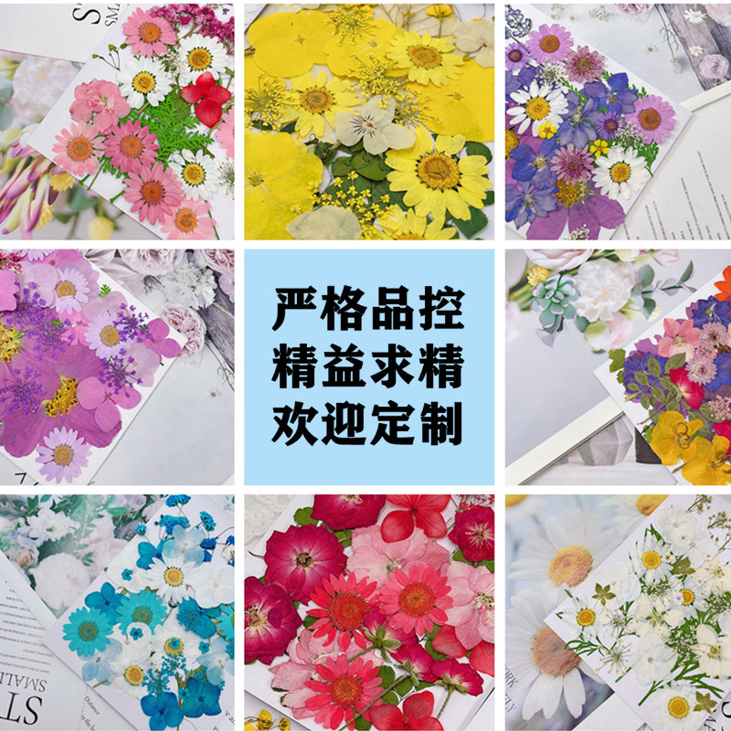 Cross-border Dried Flower Embossed Wholesale diy Handmade Photo Frame Bookmark Drop Glue Phone Case Beauty Face Decal Combo Bag