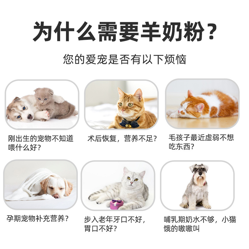 Spot pet sheep milk powder dog milk powder puppy cat puppy Teddy Bear Cat sheep milk powder wholesale 400g