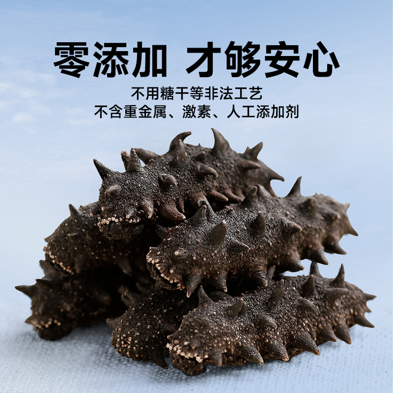 [National Standard 11 Times Soaked] Dalian Lightly Dried Sea Cucumber Dried Goods 9 Years Wild Liaoning Sea Cucumber Mid-Autumn Sea Cucumber Gift Box