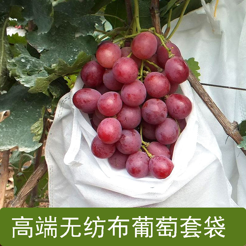 Non-Woven Fruit Bagging Tree Fruit Protection Bag Against Insects, Scratches and Dust for Citrus, Pomelo and Grape