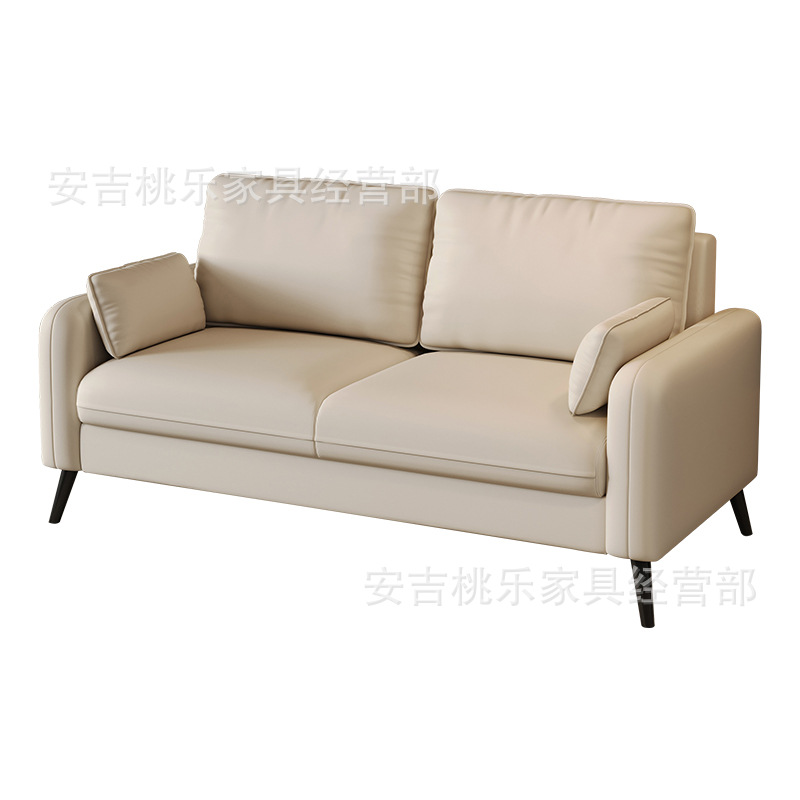 Sofa Small Apartment Rental House Diswashable Technology Cloth Sofa Living Room Clothing Store Rest Area Reception Double Small Sofa