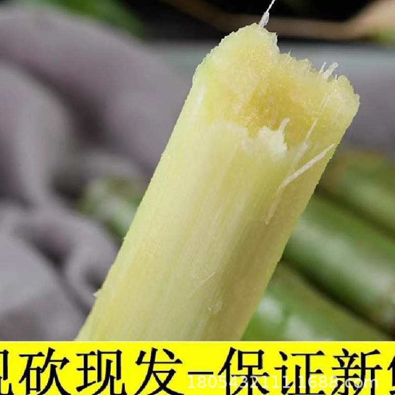 Taoshan Sugar Cane, Zhejiang Wenzhou Green-Skinned Fruit Cane, Fresh Green-Skinned Fruit Cane 2.5kg