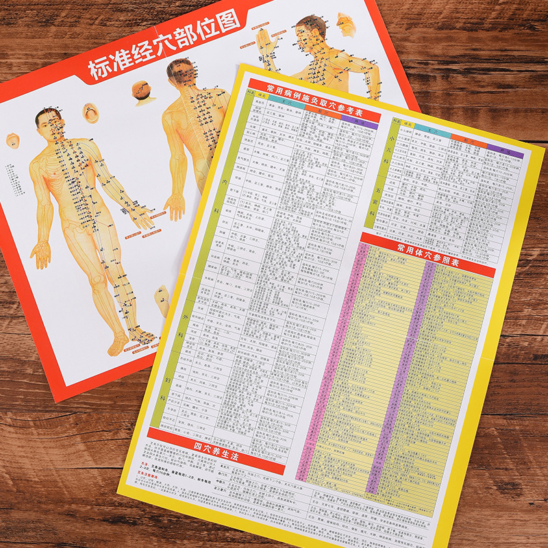 Acupoint Chart, Meridian Chart, Human Body Chart, Factory Produces Ten Thousand Health Charts Per Day, Wall Hanging Chart, Meridian and Acupoint Chart