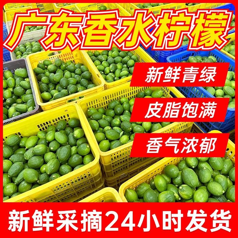 Прямые поставки из места происхождения, Гуандун, лимонный свежий безкосточковый молочный чай, специальный первоклассный зеленый оптовик