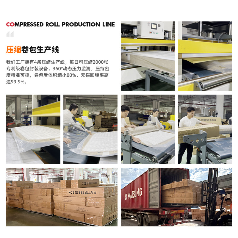Cross-Border Vacuum Compression Roll-Packed Mattress Durable Mattress Bagged Silent Spring Mattress B&B Apartment Special Mattress