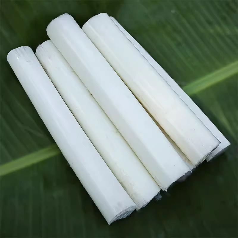 Sf Natural Wild Banana Stems for Cooking, Banana Heart Stems, Hollow Banana Stems for Cooking, Pack of 1.0kg