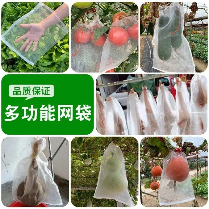 [Free Shipping] Fruit Grape Bagging, Insect-Proof and Bird-Proof White Gauze Bag, Breathable and Fruit Fly-Proof Bag for Loquat Fruit Trees