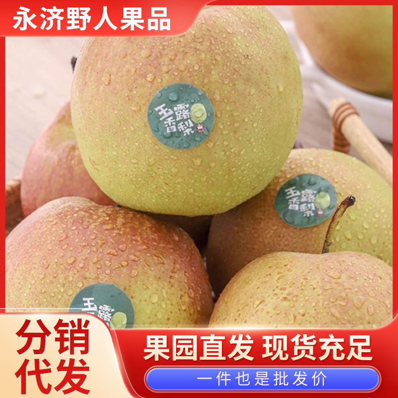 Шаньси Юлу ароматная груша, фруктовый сад, прямые волосы, 5кг, целая коробка, оптовая продажа, свежесобранные, хрустящие, сладкие, сезонные фрукты