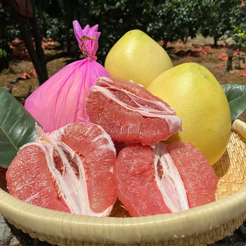 Fujian Pinghe Sanhong Pomelo, Red-Fleshed Pomelo, Seasonal Fresh Pomelo, Freshly Picked and Shipped, Whole Box of 5 Pounds, Gift Box Packaging