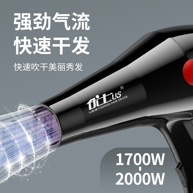 Youshi Hair Dryer Hair Salon Home Dormitory High Power Hair Dryer Large Wind Barber Shop Blue Light Hair Dryer Wholesale