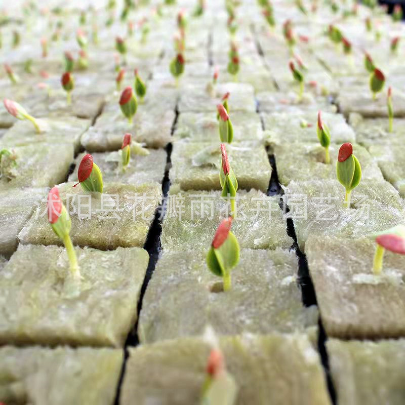 Импортный субстрат для безземельного выращивания, блоки для рассады, гидропоника, каменная вата