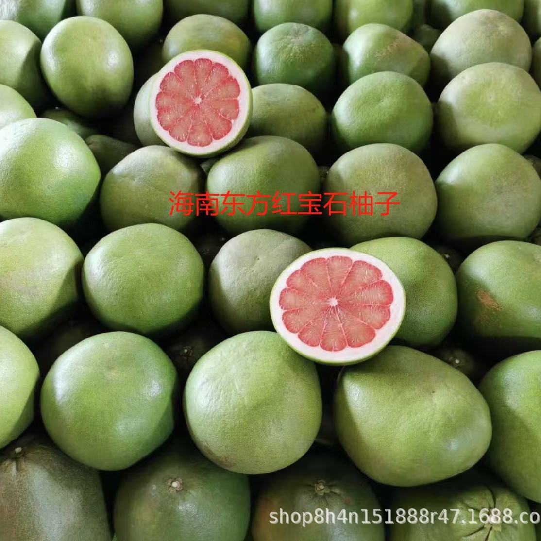 Fresh Thai Ruby Pomelo in Stock, Tropical Vitamin C Low-Sugar Fruit, Red Pomelo, Honey Pomelo Wholesale