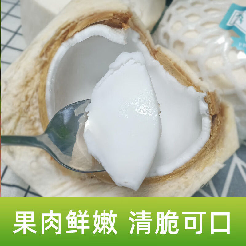 Hainan Coconut Green Big Fruit 4/6/9 Capsules Freshly Picked Seasonal Fresh Coconut Fruit Wholesale One Whole Box Source Factory Delivery