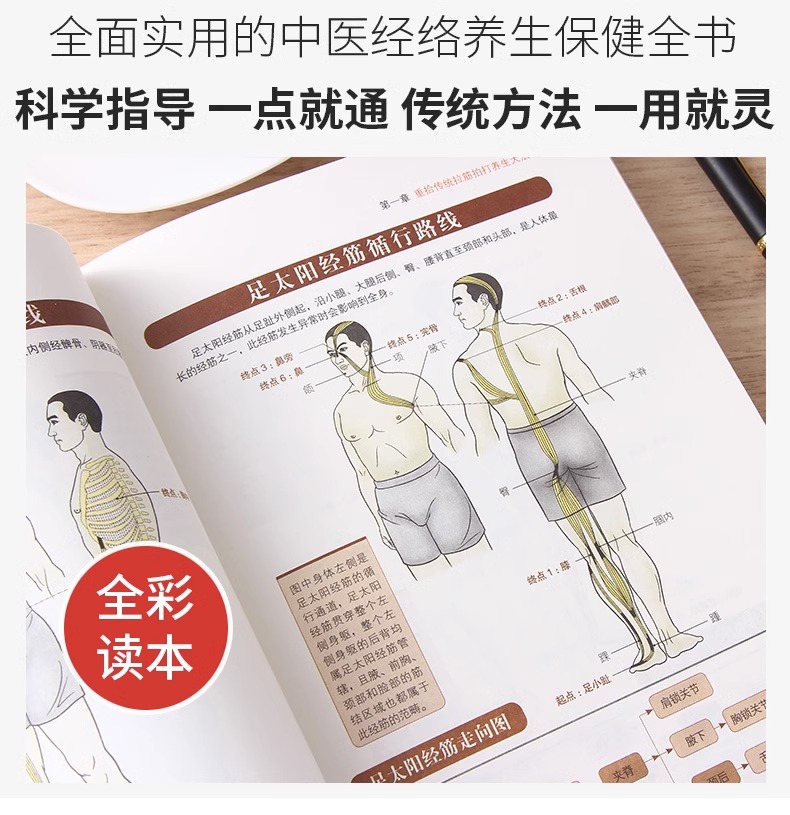 Stretching and beating to cure all diseases, Meridian and Meridian acupoint symptomatic therapy, exercise stretching to activate tendon