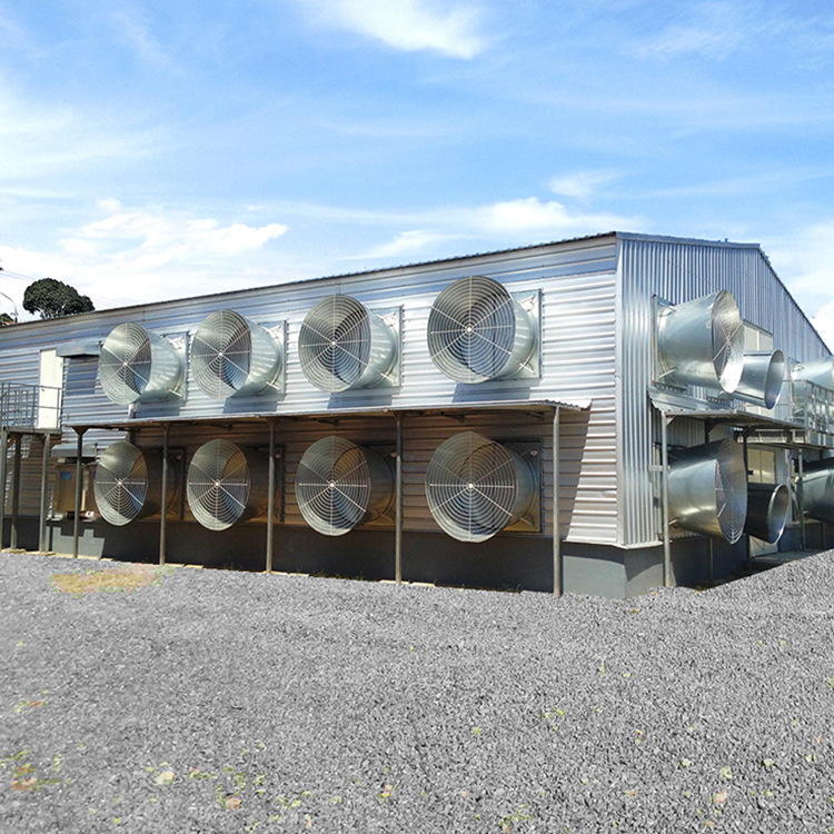 Steel Structure Warehouse Export Manufacture High Quality Durable Steel Structure Chicken Cage Poultry Farm Chicken House
