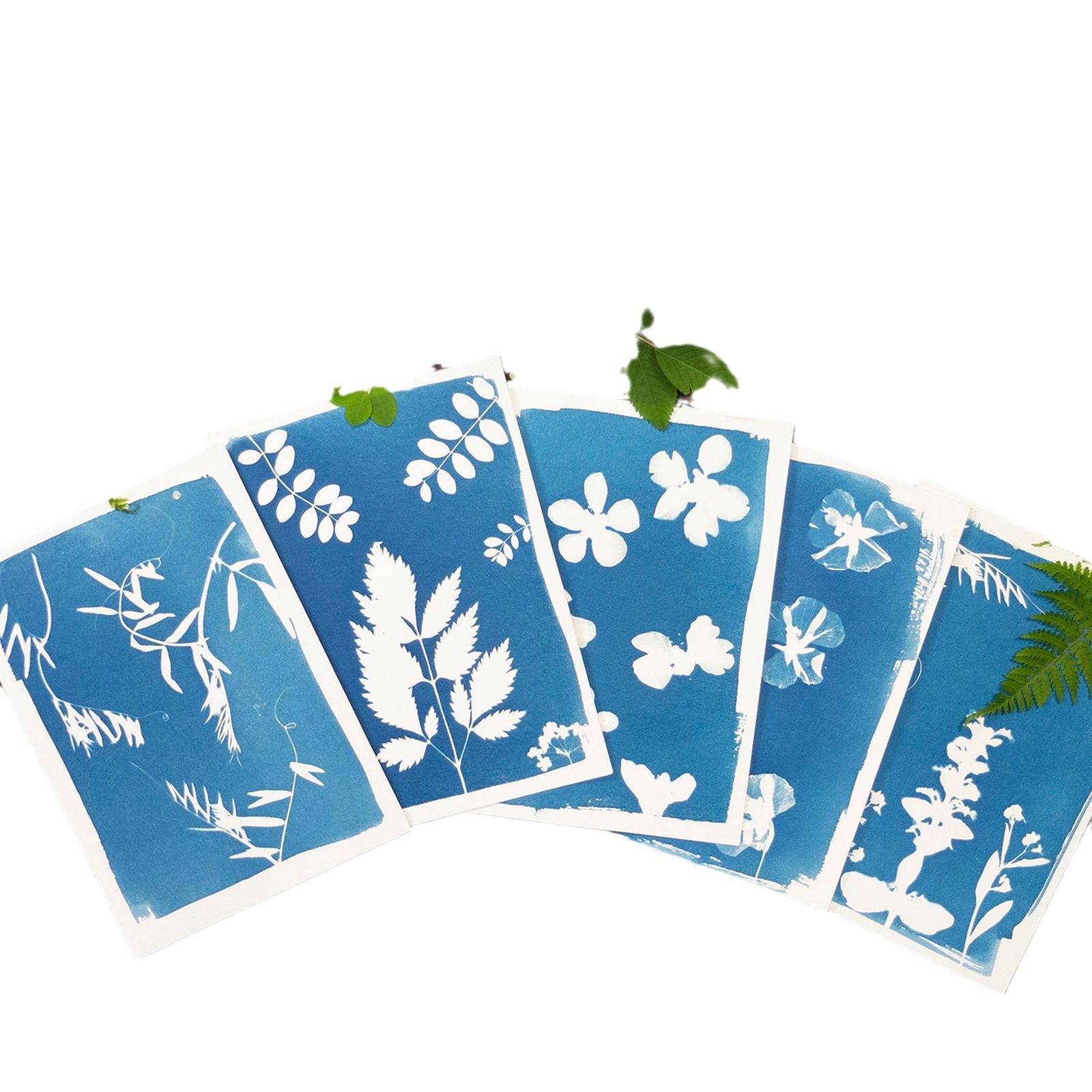 Blue drying paper CyanotypePaper Sun photosensitive printing art paper A5 blue dyed plant tie-dye diy handmade