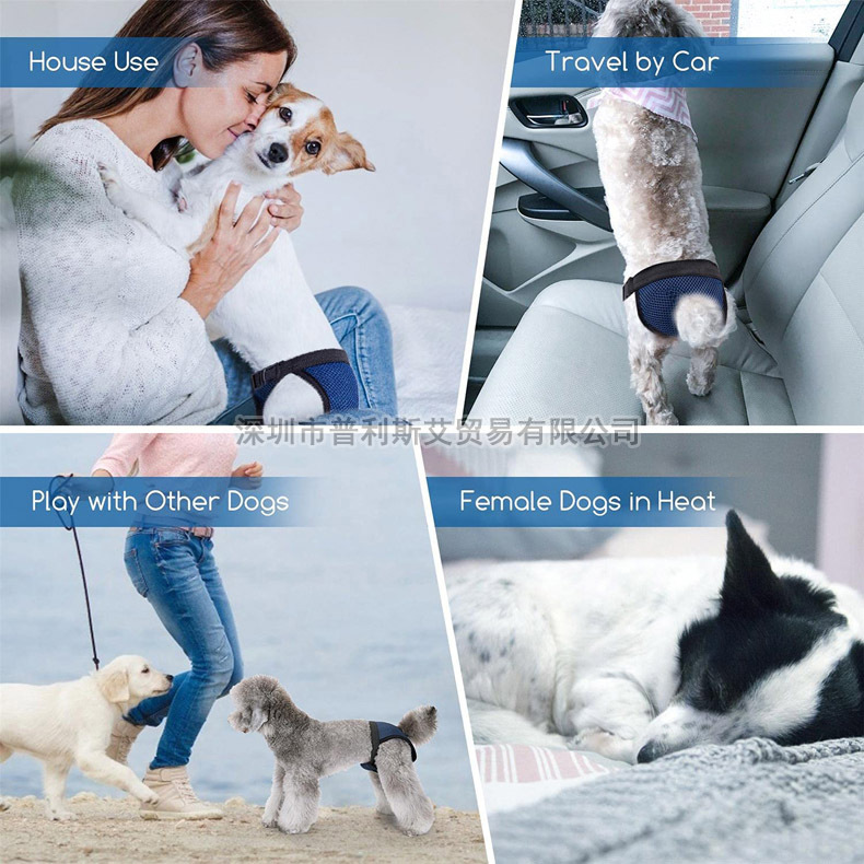 New Breathable bitch physiological pants menstrual pants pet dog replaceable aunt towel pants female dog anti-harassment sanitary pants