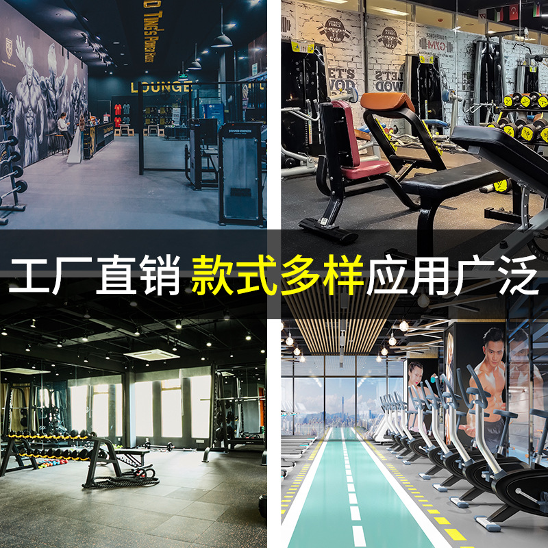 Gymnasium Rubber Mat Color Mat Shock Absorption Sound Insulation Cushioning Fireproof Power Zone Mat Indoor Assembled Mat