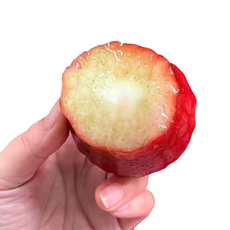 Hainan Black Diamond Lotus Mist 2.5kg Tropical Lotus Mist Fruit Fresh Fruit Fairy Fruit 0.5kg-1.6kg Pieces Minimum Order Free Shipping