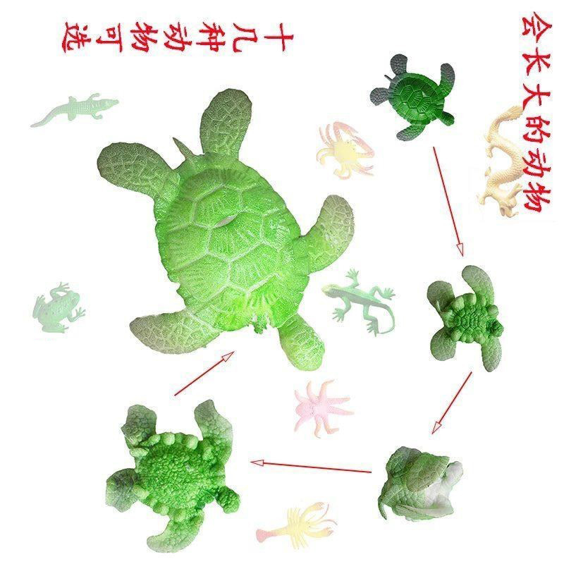 Soak in Water to Expand Toy Water Giant Spongebob Marine Animal Bubble Beads Dinosaur Eggs