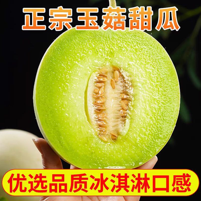 Jade Mushroom Melon Fruit Ice Cream, Milky Honeydew Melon, Freshly Picked Seasonal Fruit, Hami Croissant Honey Rose