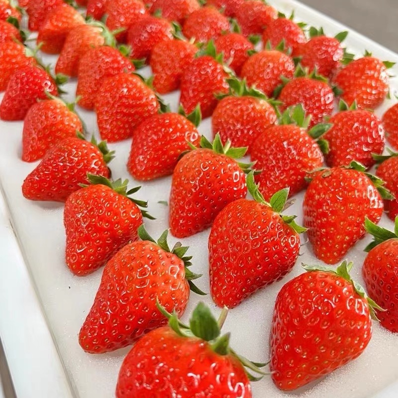 Freshly Picked Summer Strawberries from Yunnan, Perfect for Candied Fruit Cakes, Baking, and Juicing, with Free Shipping