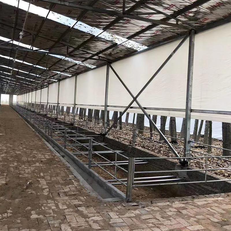 Farm cloth pig farm sheep shed cattle shed white thermal insulation cold-proof livestock cloth lifting PE windproof cloth