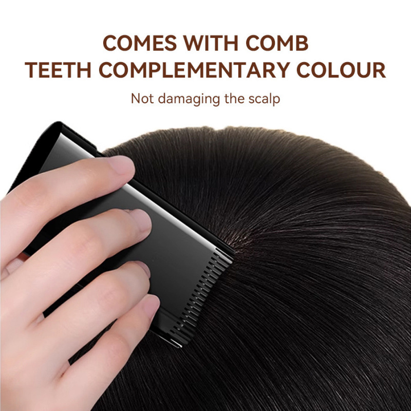 Cross-Border Best-Selling Portable Hair Dye Pen, Natural Black Brown Complementary Color, Waterproof, Covering White Hair, Tooth Comb Does Not Damage Hair