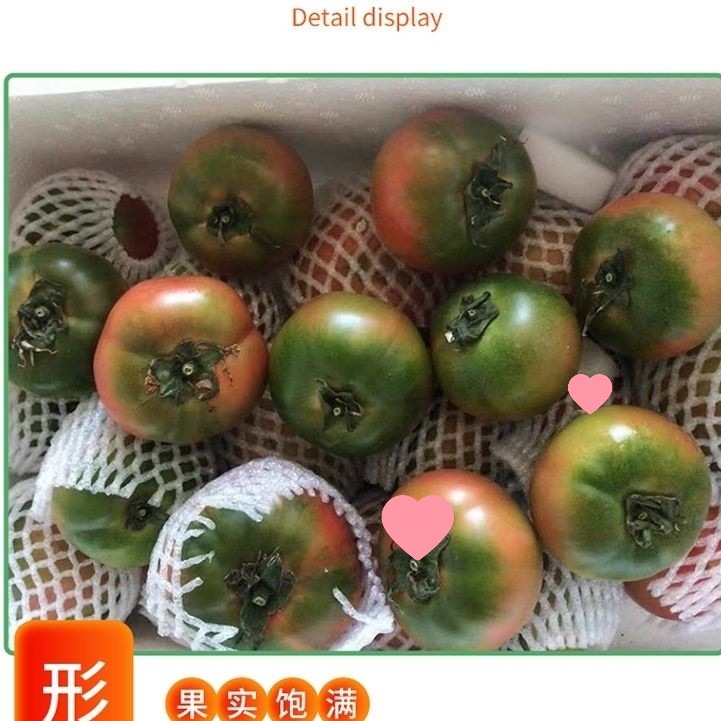 Dandong Iron-Skinned Persimmons, Fresh Alkaline Tomatoes, Dandong Strawberries, Naturally Ripe Persimmons, Raw Fruit Tomatoes