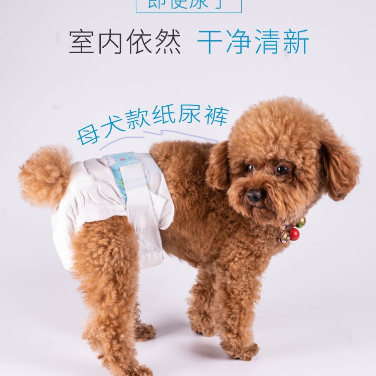 Male dog puppy menstrual pants pet diapers dog diaper physiological pants skin-friendly breathable source factory