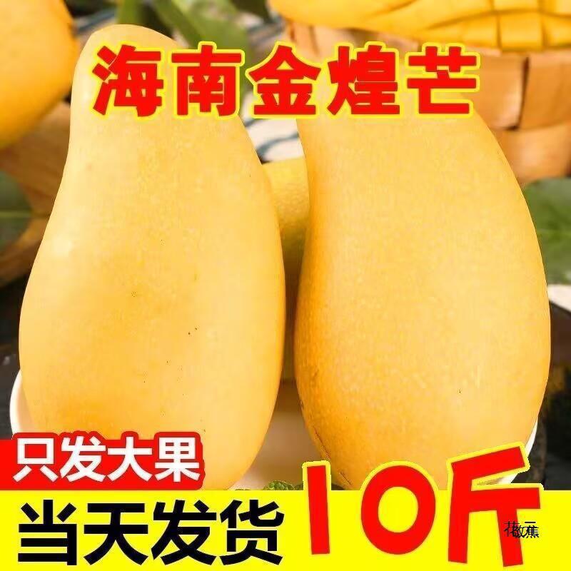 Hainan Jinhuang Mangosteen Narcissus Mango 5kg Pack Whole Box Tropical Fruit Fresh Large Mango Sweetheart Mango Jinxing