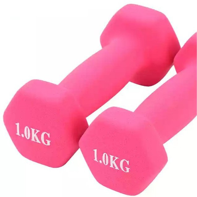 Dumbbell Lady Shaping Fitness Color Dipper Cast Iron Small Dumbbell Solid Core Hexagon Glue-coated Gloss Household Dumbbell