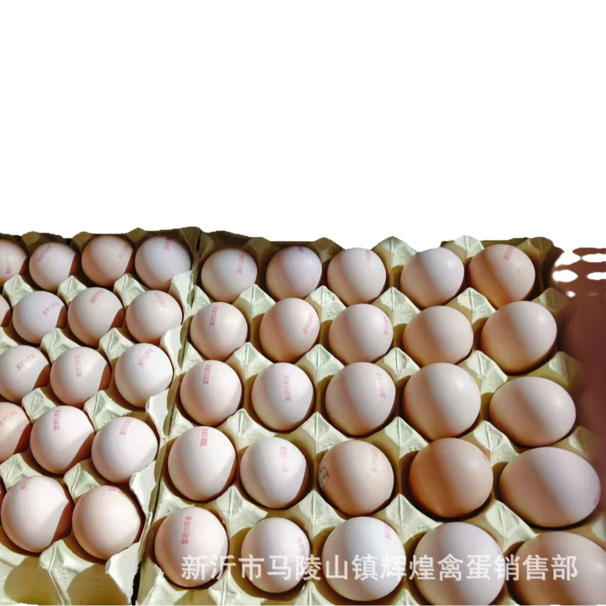 Wholesale Fresh Cordyceps Eggs, Selenium-Rich, Anti-Biotic-Free Eggs, Native Eggs, Stupid Eggs, Grass Eggs, Inkjet Printing
