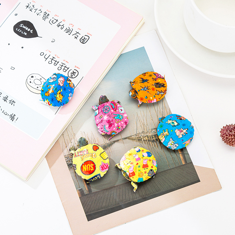 Source factory colorful little turtle Brazilian turtle colorful little turtle live Net red color little turtle ornamental color turtle