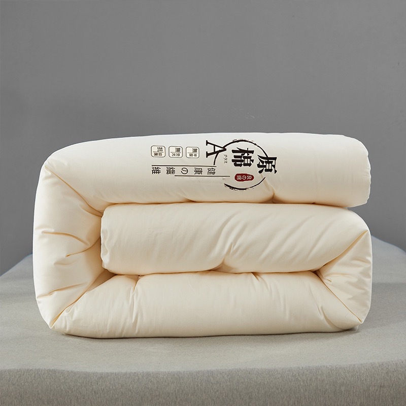 Customized High-Quality Raw Cotton Soybean Quilt Core Winter Quilt Soy Protein Fiber Quilt Will Be Sold in Gift Quilt Gift Box