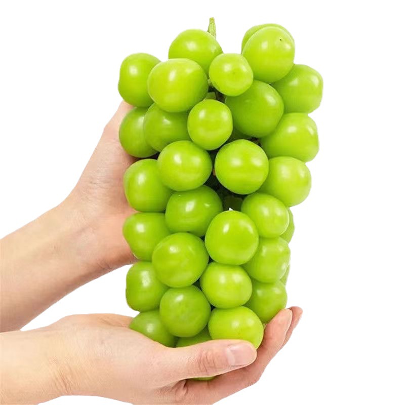 Authentic Sunshine Rose 2.5kg Whole Box of Fresh Seasonal Grapes for Pregnant Women Seasonal Fruit 1.5kg Wholesale Free Shipping 10 Qingwang
