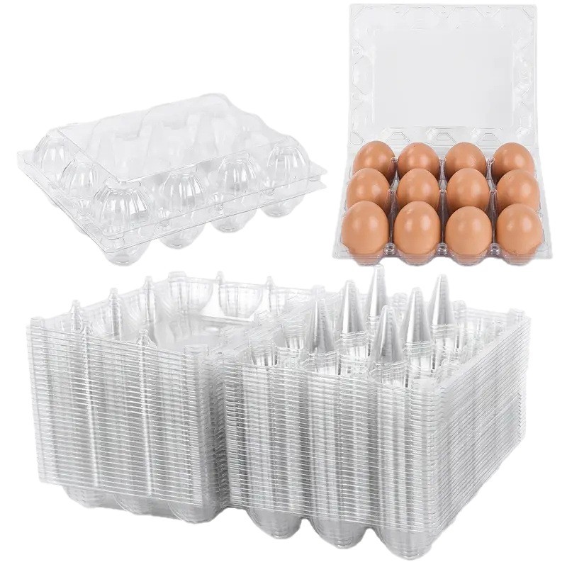 2025 Amazon Hot-Selling Multiple-Pack Household Transparent Plastic Egg Containers Reusable Egg Mop Wholesale
