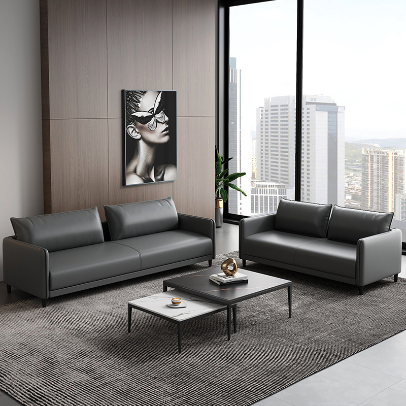 Simple Small Apartment Sofa Office Home Living Room Rental Clothing Store Double or Three Person Modern Cat Scratch Leather Sofa