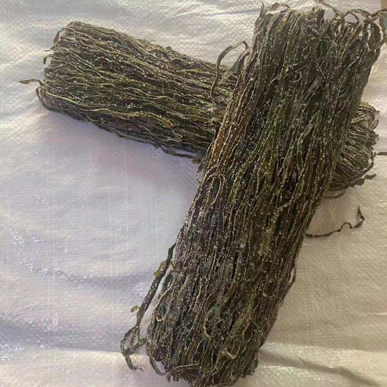 Manufacturer's Dried Thick Kelp Shreds Whole Box Wholesale Sand-Free Salad Kelp Strips Street Stall Hot-Selling Salted Kelp Shreds