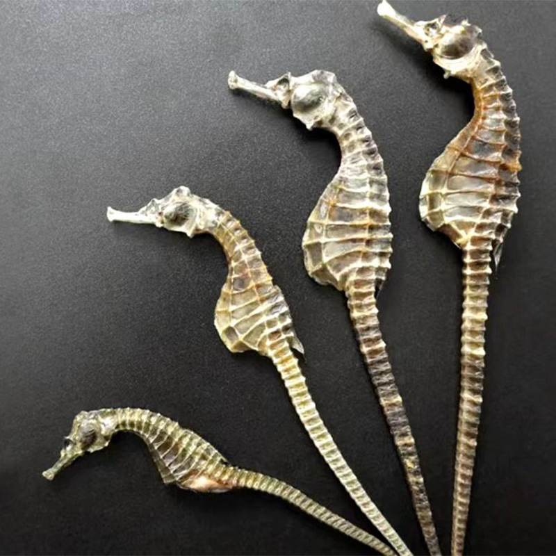 Wei Yin Ma Farm Source Seahorse Dried Goods for Soaking in Wine and Making Soup for Health, Male and Female Pairing 3g