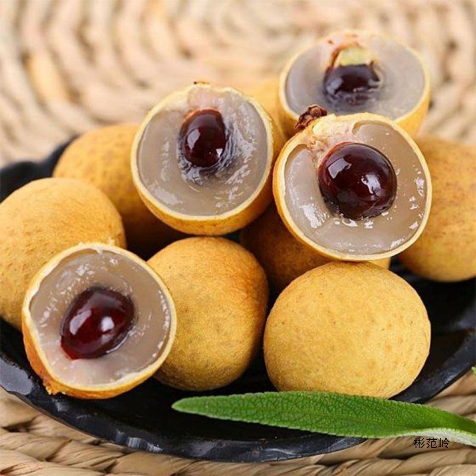 Freshly Picked Thai Longan, Fresh Seasonal Fruit for Pregnant Women, Medium and Large Fruits 2/ 2.5kg Full Box Free Shipping