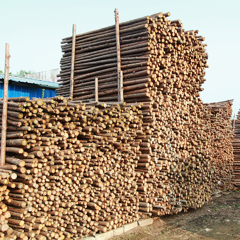 Log Wooden Piles, River Piling, Wooden Revetments, Slope Protection, Embankment Protection Piles, Flood Prevention and Flood Prevention Projects, Forest Farms, Direct Delivery to Construction Sites