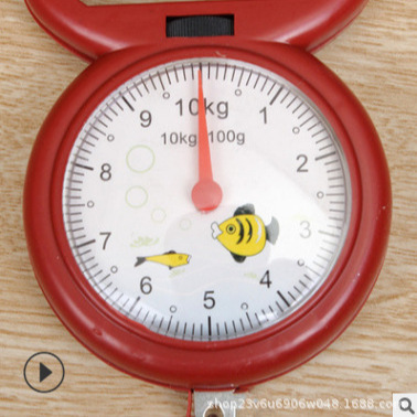 Advertising Gift Portable Household Plastic Handle Hand-Held Scale 10kg Home Spring Scale Daily Use Wholesale Spring Scale