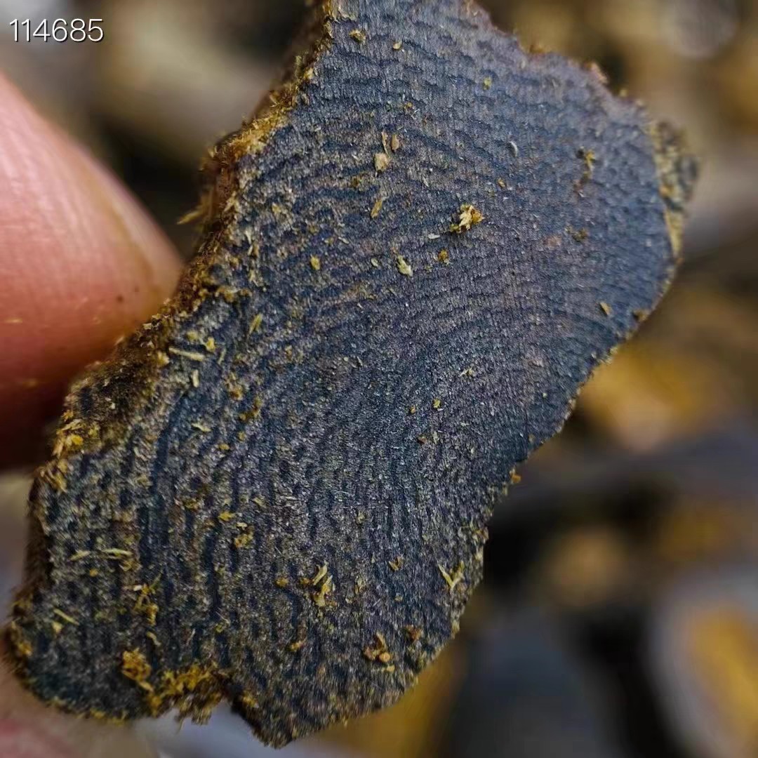 High-Quality White Agarwood Shavings, Premium Agarwood Shavings, Super Good Home-Use Activated Carbon Agarwood